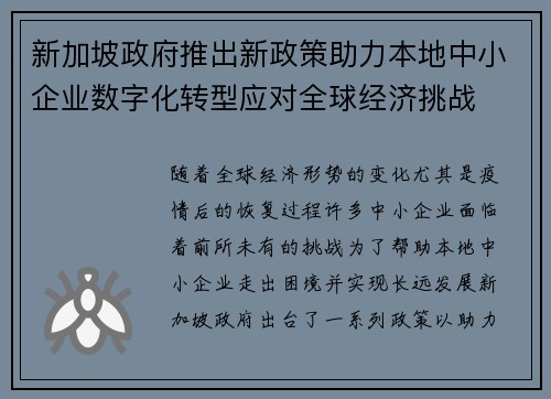 新加坡政府推出新政策助力本地中小企业数字化转型应对全球经济挑战 新加坡政府推出新政策助力本地中小企业数字化转型应对全球经济挑战